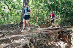 BIB: 
                            <button type="button" onclick="openModal(27719846)" class="btn btn-primary btn-sm float-right btn-popup" data-toggle="modal" data-target=".modal-high-quality">
                        <i class="fas fa-shopping-cart"></i> Add to Cart
                    </button>
                                            <button type="button" onclick="isThisMe(27719846, true)" class="btn btn-success btn-sm float-right btn-popup btn-isme hidden" data-toggle="tooltip" data-placement="bottom" title="นี่คือรูปของคุณใช่ไหม คลิกที่นี่เพื่อเอาเข้าอัลบั้ม">
                        <i class="fas fa-plus"></i> Add to album
                    </button>
                    <button type="button" onclick="isThisMe(27719846, false)" class="btn btn-warning btn-sm float-right btn-popup btn-isnotme hidden">
                        <i class="fas fa-ban"></i> Remove from album
                    </button>